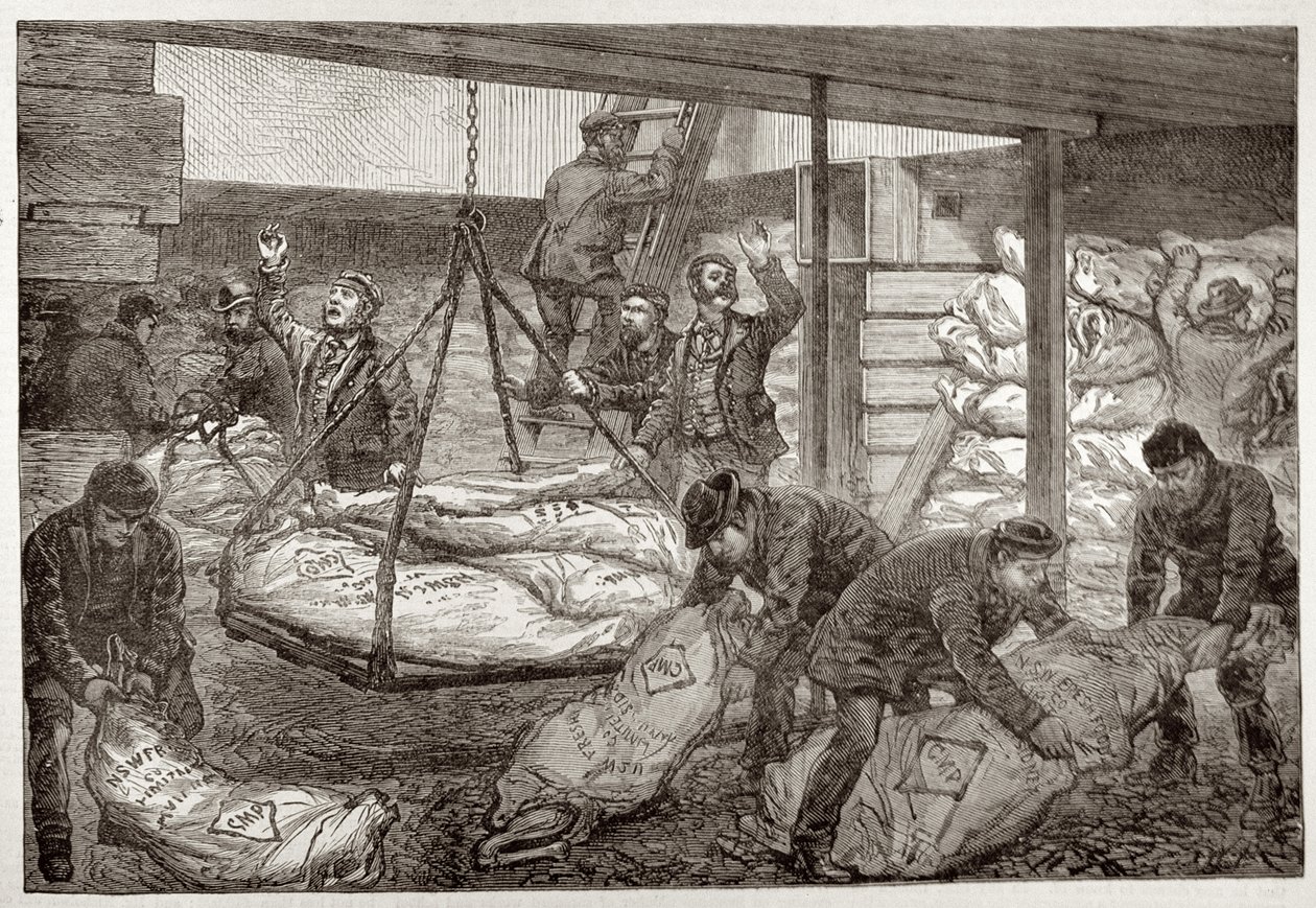 Ausztrál fagyasztott hús kirakodása Sydneyből a délnyugat-indiai dokkban, Millwallban, a „The Illustrated London News”-ból, 1881. november 19. alkotó: English School