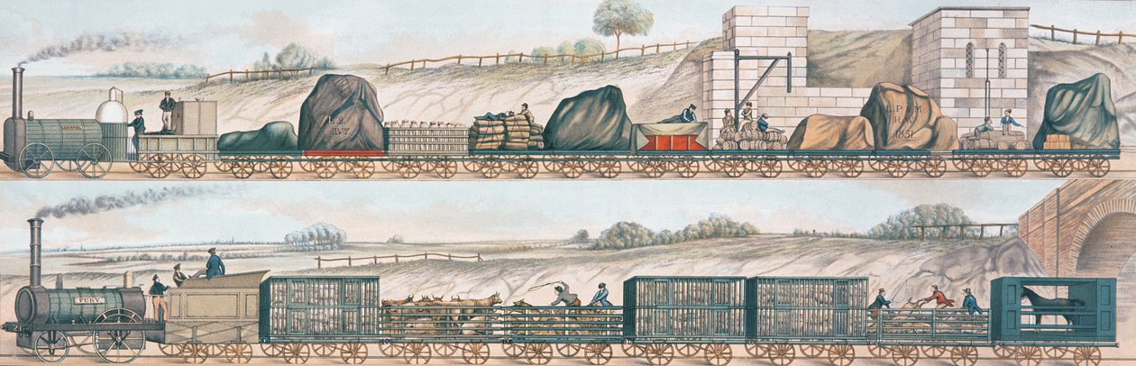 Liverpool és Manchester Railway: Teherszállítás és állatállomány alkotó: English School