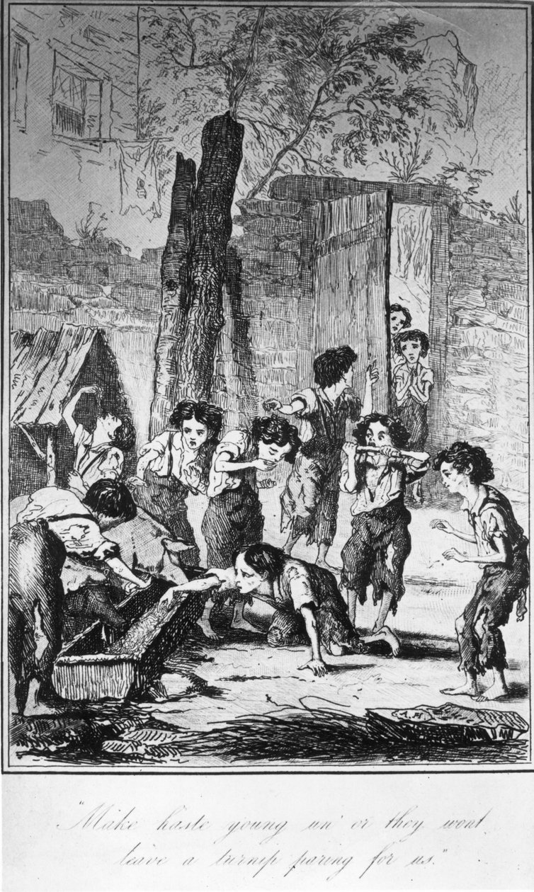 Legyen sietve fiatalon, különben nem kapnak fehérrépát, illusztráció Frances Trollope: Michael Armstrong élete és kalandjai, 1840 alkotó: English School