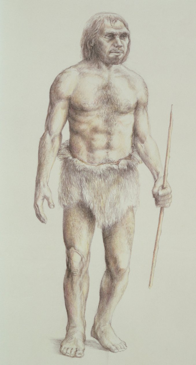 Neandervölgyi ember alkotó: English School