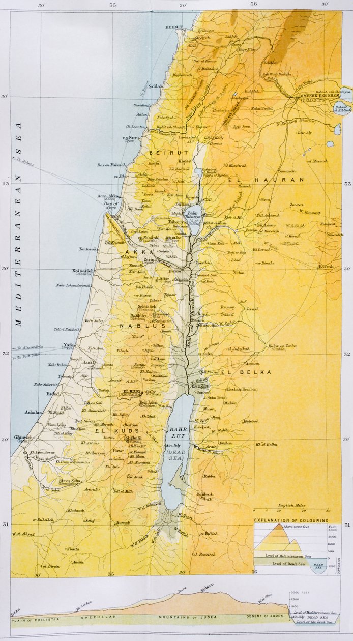 Palesztina az 1890-es években, a "The Citizen