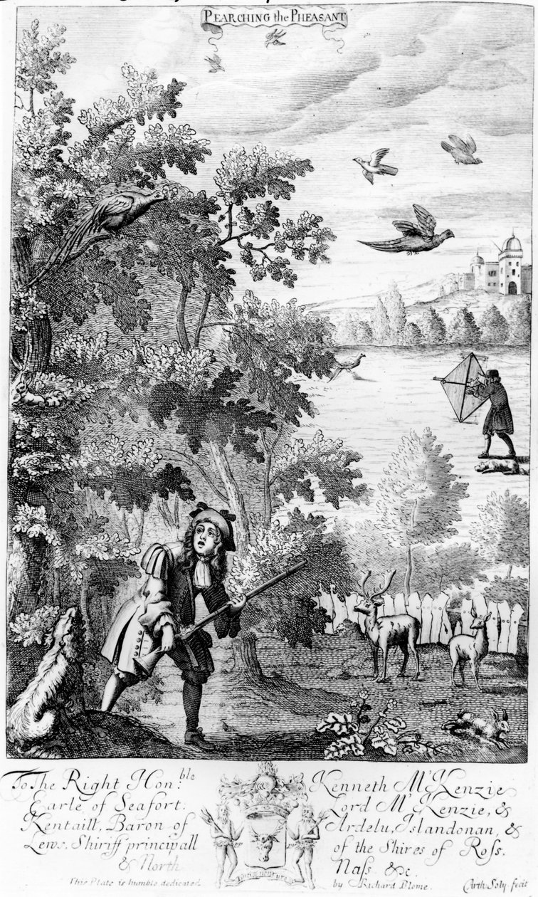 Pearching the Pheasant, a "The Gentleman
