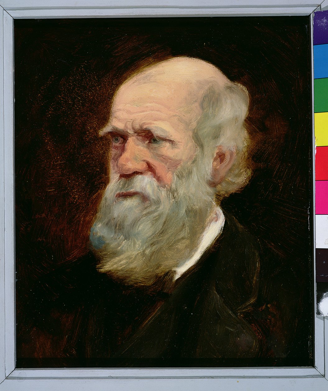 Charles Robert Darwin (1809-82) angol természettudós portréja alkotó: English School