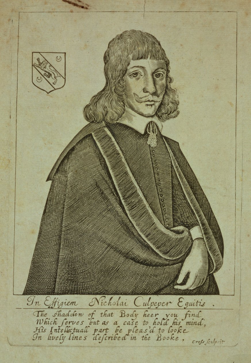 Nicholas Culpeper (1616-54) portréja az A Physical Directoryból, vagy a London Dispensatory fordítása, Thomas Cross metszet, 1649 alkotó: English School