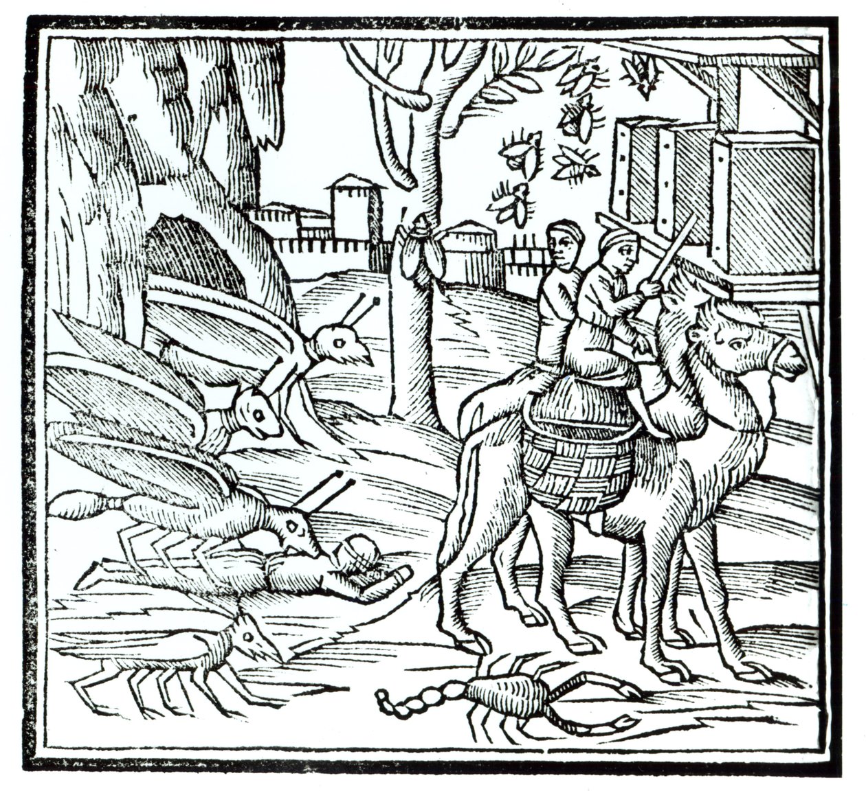 A pestis ábrázolása, 1572 alkotó: English School