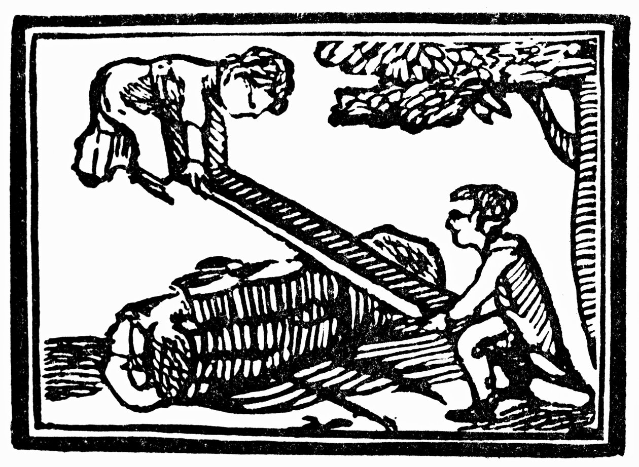 Seesaw alkotó: English School