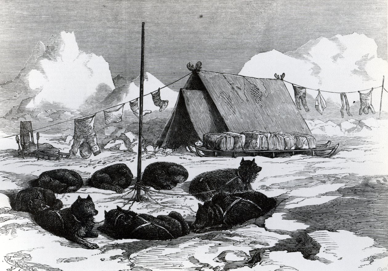 Szánkózás: Kutyák rögzítésének módja táborozáskor, 1876 alkotó: English School