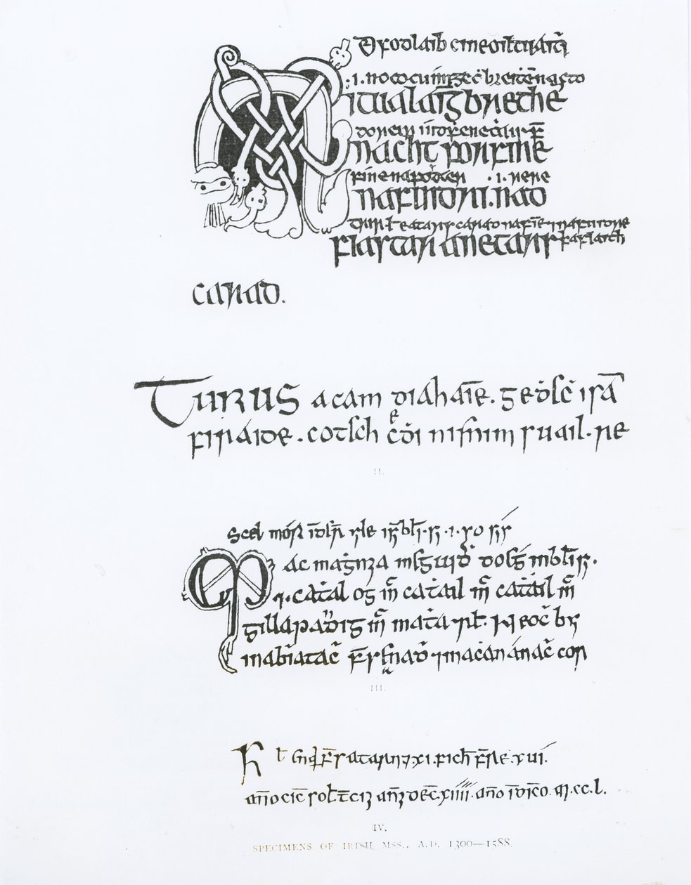 Ír kéziratok példányai, 1300-1588 körül alkotó: English School