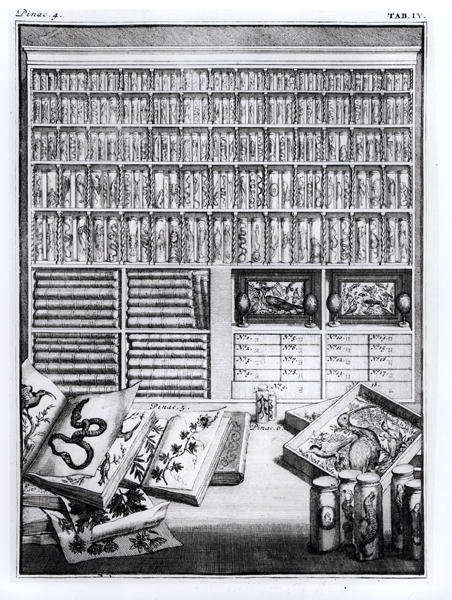 4. táblázat: Elenchus Tabularum, Levin Vincent (1658-1727) 1719 alkotó: English School