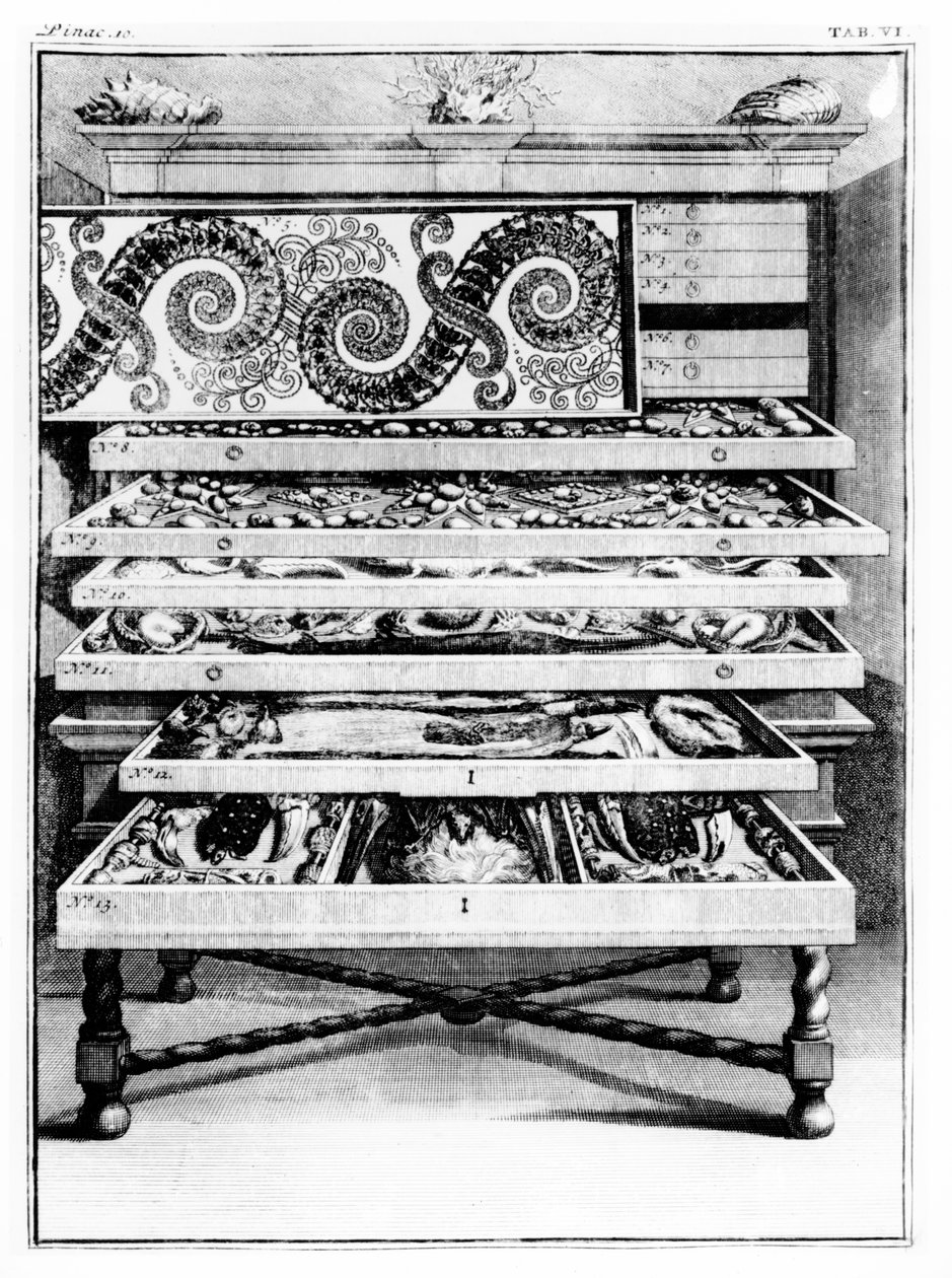 6. táblázat Levin Vincent (1658-1727) „Elenchus Tabularum” című művéből, 1719 alkotó: English School