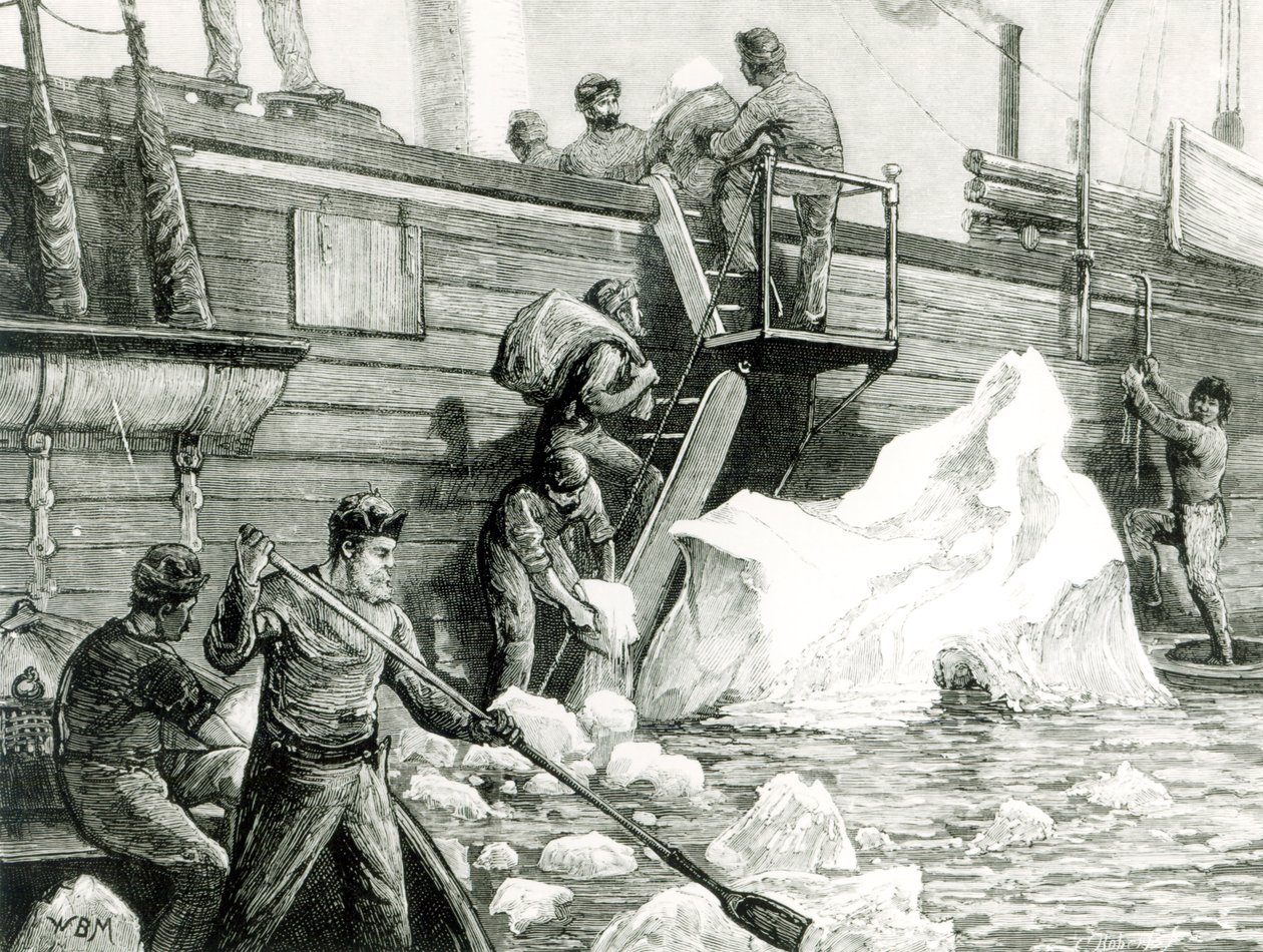 Az Északi-sarkvidéki expedíció jéghegyből öntözve, a „The Graphic”-ból, 1875. szeptember 11. alkotó: English School