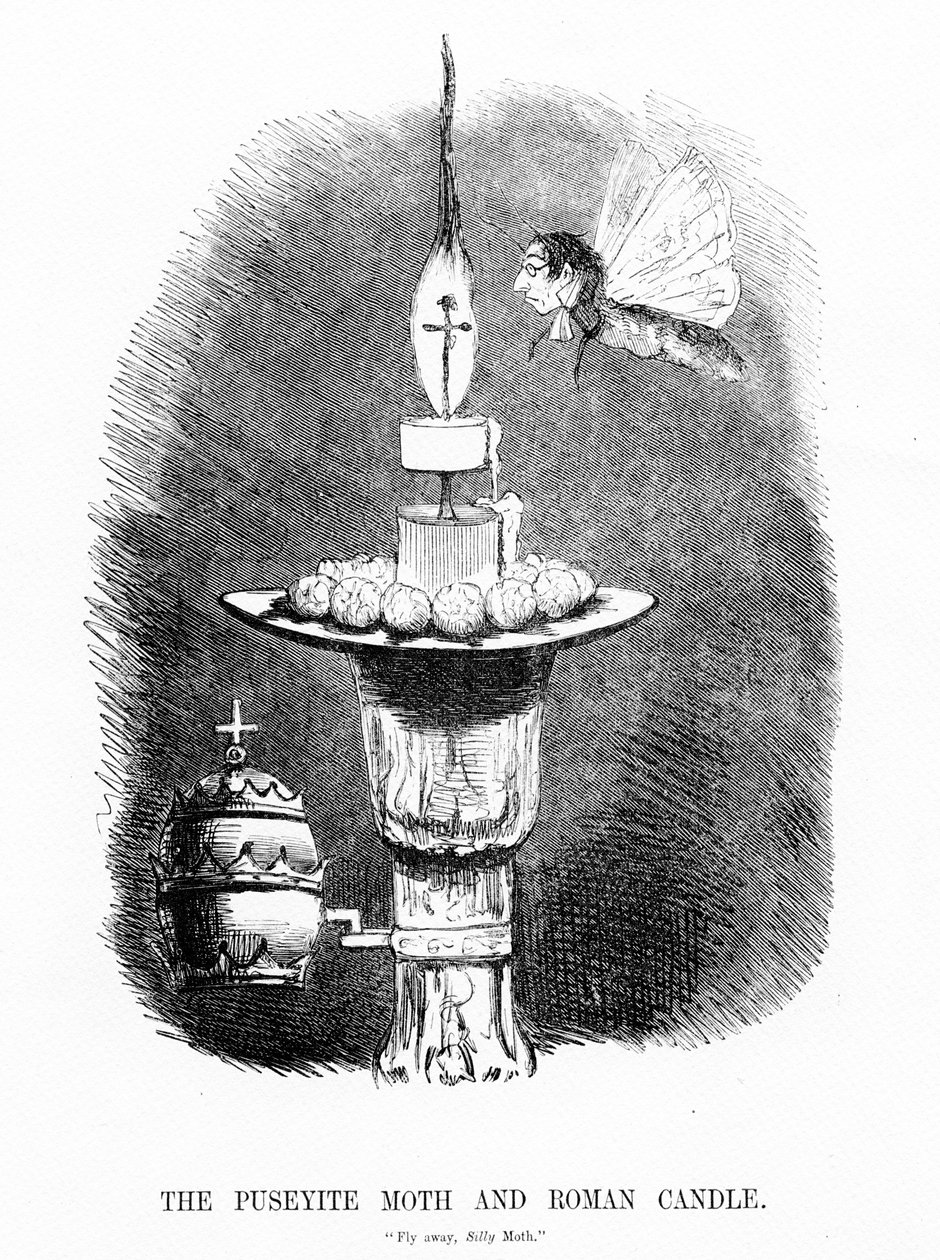 A pusztai moly és a római gyertya, illusztráció a "Punch"-ból, 1850. alkotó: English School