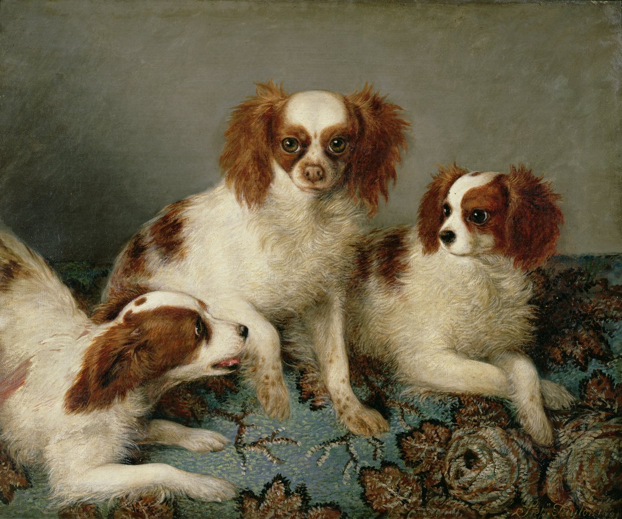 Három Cavalier King Charles spániel egy szőnyegen alkotó: English School