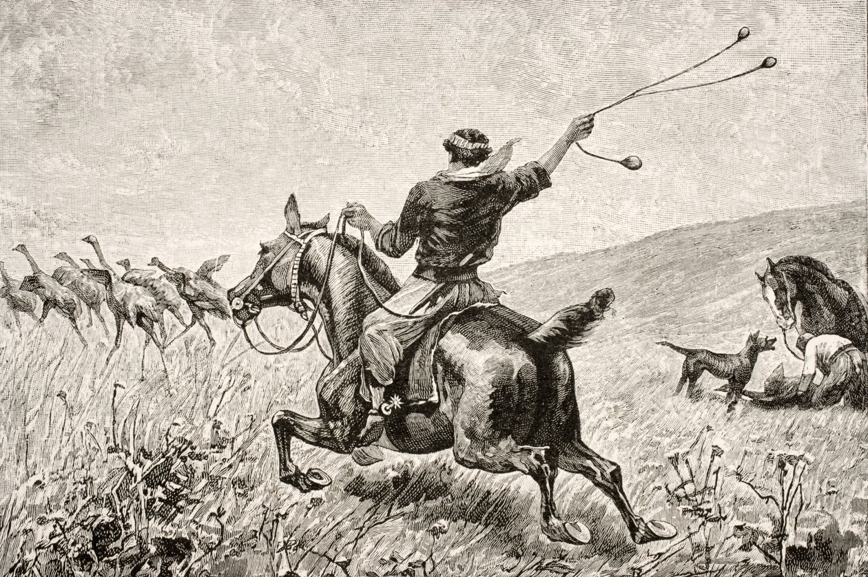 Throwing the Bolas, Charles Darwin (1809-92) „Journal of Researches” című könyvéből, a Nelson und Sons kiadásában, 1890 alkotó: English School