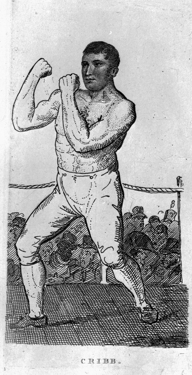 Tom Cribb alkotó: English School