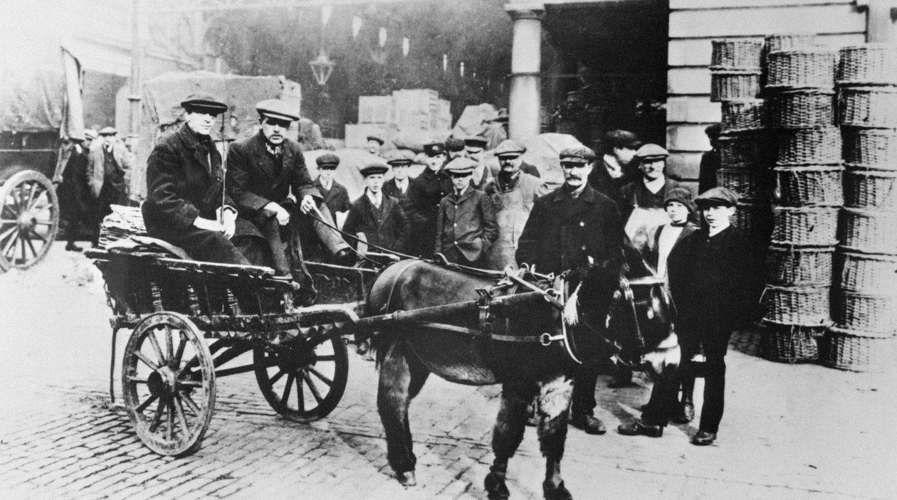 Kilátás a Covent Garden piacra, 1900 alkotó: English School