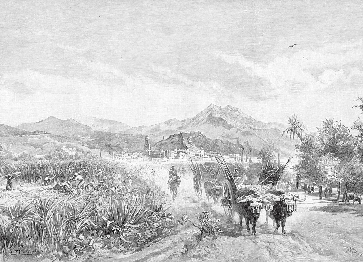 Kilátás a cukormezőkre, Malaga, Spanyolország, a „The Festői Mediterrán” 3. kötetéből, kiadó: Cassell and Co. Ltd., 1880-90-es évek alkotó: English School