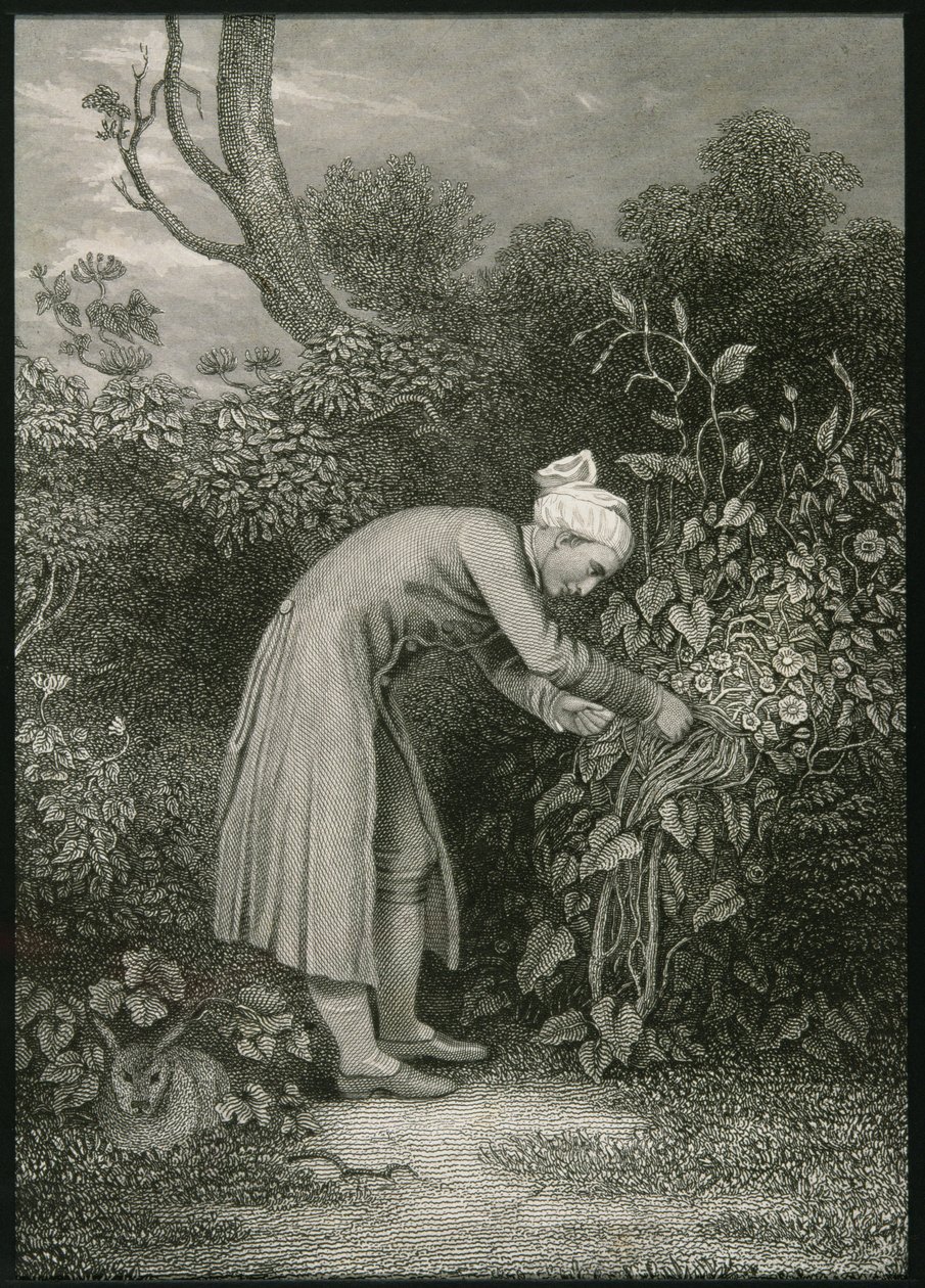 William Cowper (1731-1800) alkotó: English School