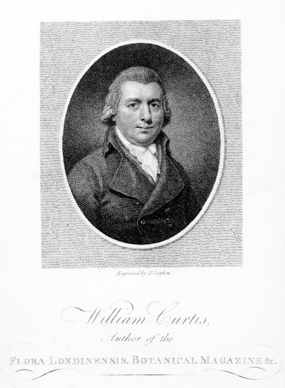 William Curtis, metszette: F. Sansom, 1790 alkotó: English School