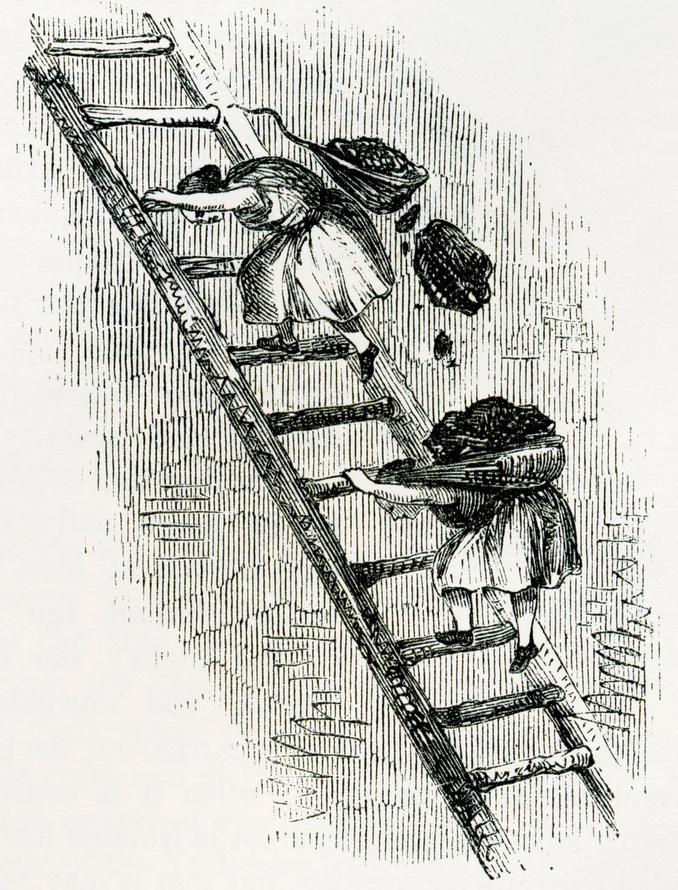 Nők szenet a felszínre hordó kelet-skóciai bányákban, Charles Tomlinson „Cyclopaedia of Useful Arts and Manufactures” c. alkotó: English School
