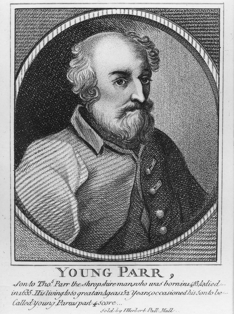 Fiatal Parr alkotó: English School