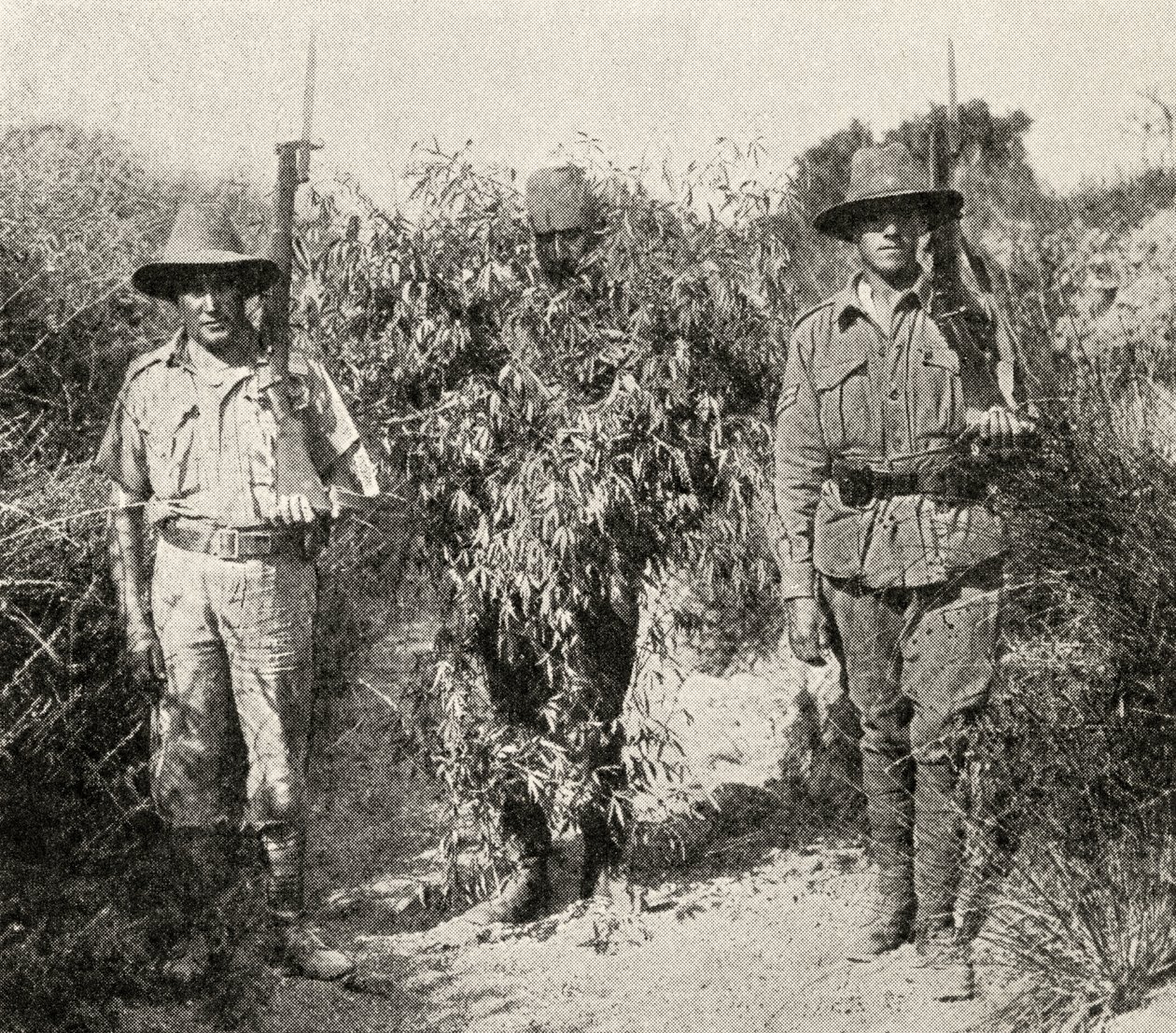 Egy bokornak álcázott török mesterlövész letartóztatásban van, miután az ANZAC csapatai elfogták, a „The Great War: A History” III. kötetből, 1916 alkotó: English Photographer