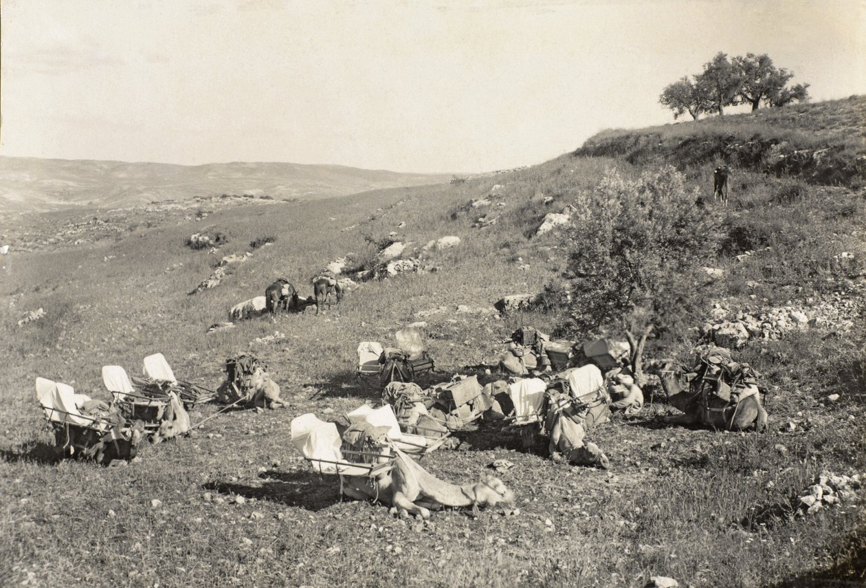 Mentőteve, 1916-1919 körül (f/w fotó) alkotó: English Photographer