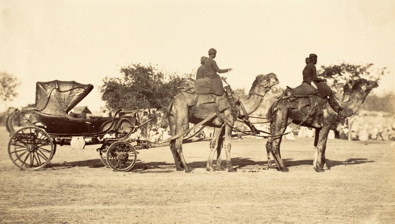 Tevekocsi, 1860 körül (fénynyomat) alkotó: English Photographer