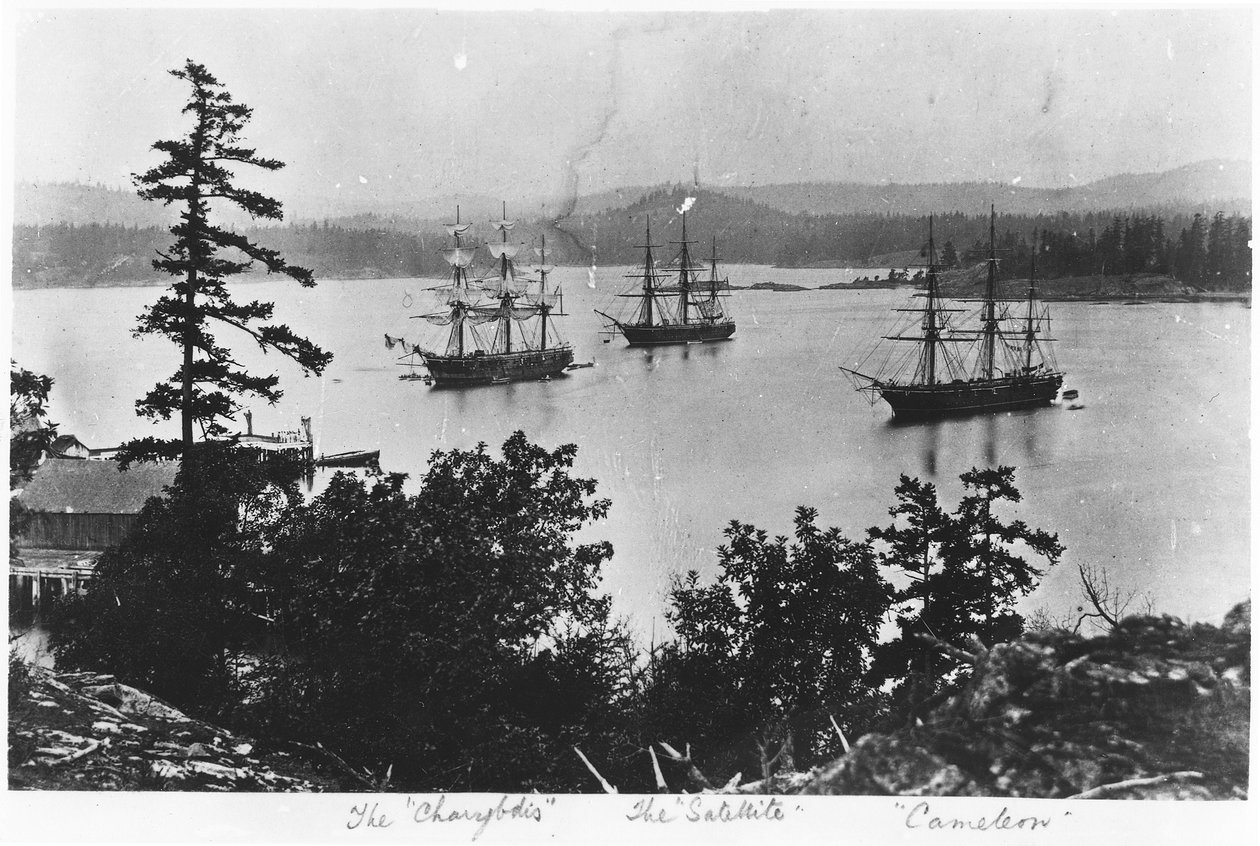HMS Charybdis, HMS Satellite és HMS Cameleon az Esquimalt Királyi Haditengerészeti Dokkgyárban, British Columbia, 1880-as évek alkotó: English Photographer
