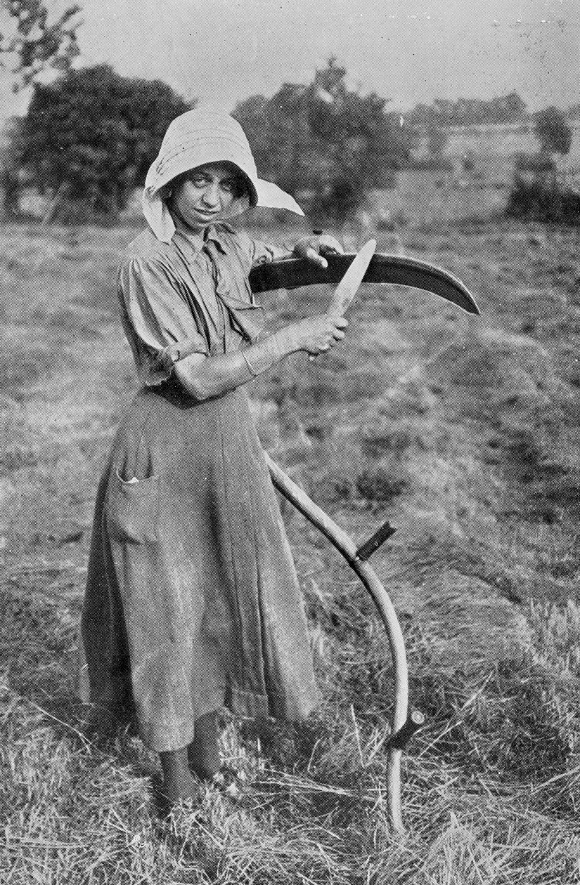 Betakarítás – A Leicester Women