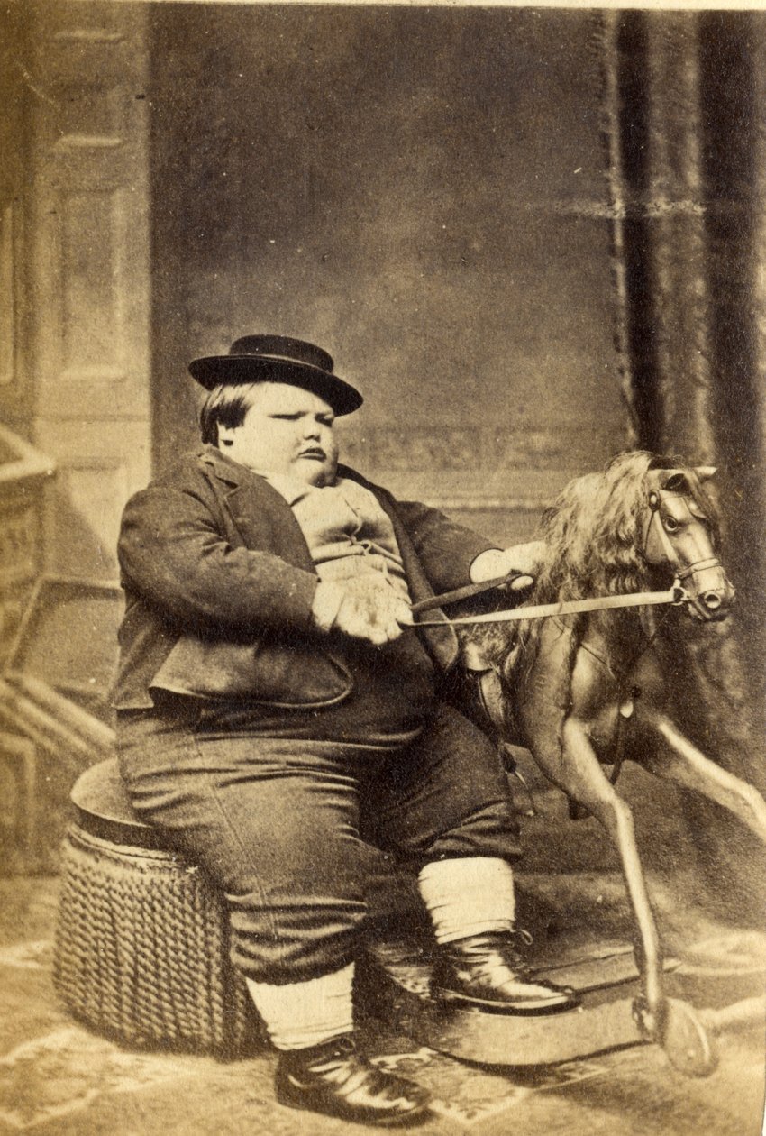 Richard Beanham mester hintalovánál, 1870-es évek (albumnyomat) alkotó: English Photographer