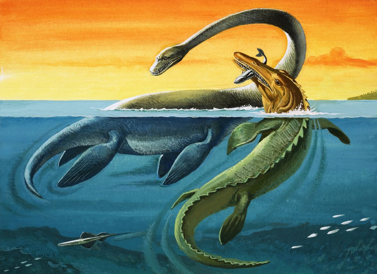 Őskori lények az óceánban (gouache, papír) alkotó: English Photographer
