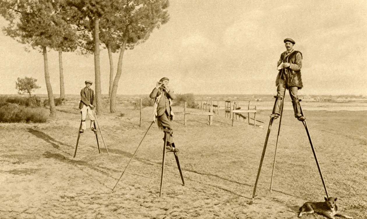 Gólyalábak (fekete-fehér fotó) alkotó: English Photographer