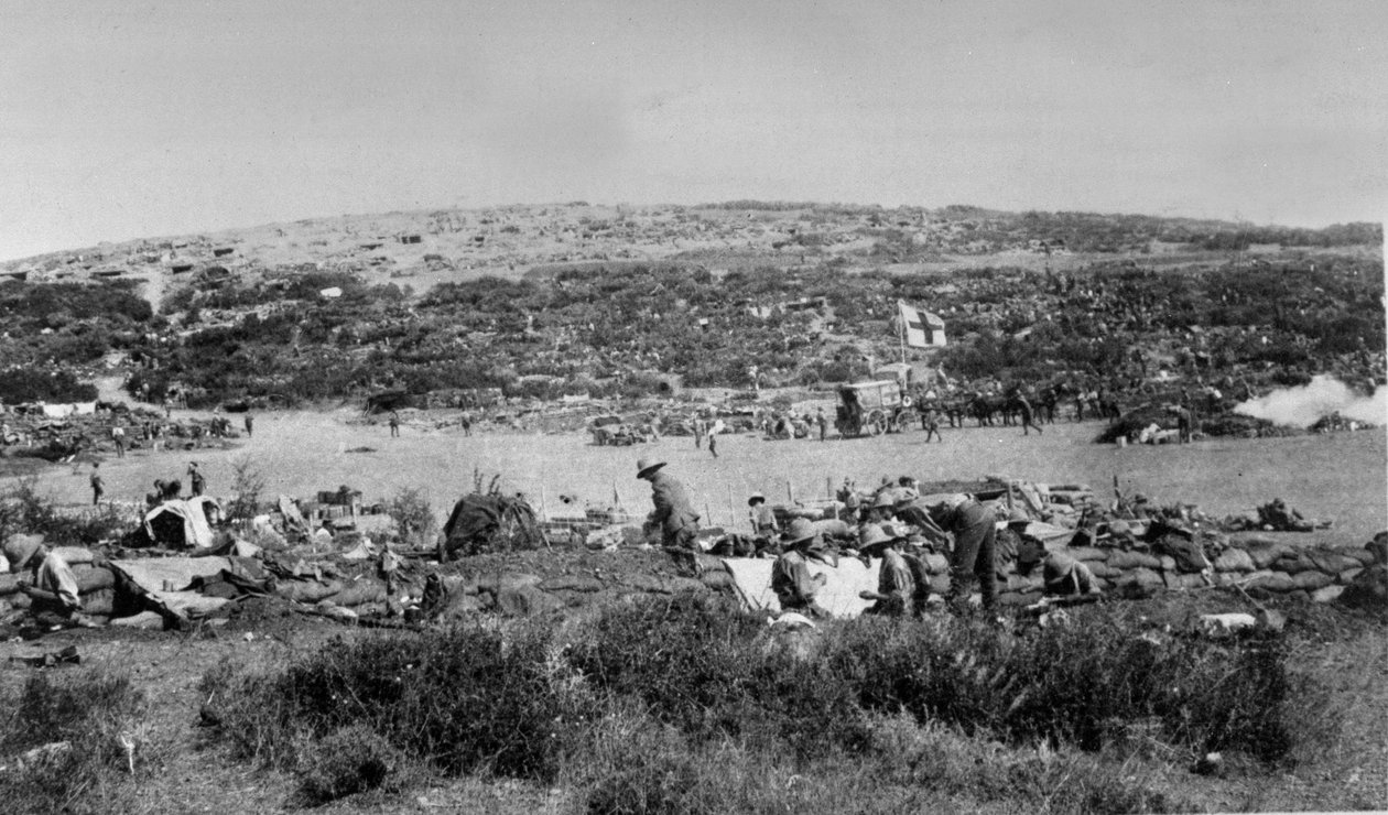 Suvla Bay, Gallipoli at Chocolate Hill, 1915 körül alkotó: English Photographer