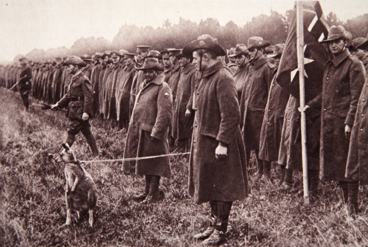 Az Anzac beszámolója a Salisbury Plainről: egy ausztrál kabala, illusztráció a The Illustrated War Newsból, 1916. szeptember 27. (szépia fotó) alkotó: English Photographer