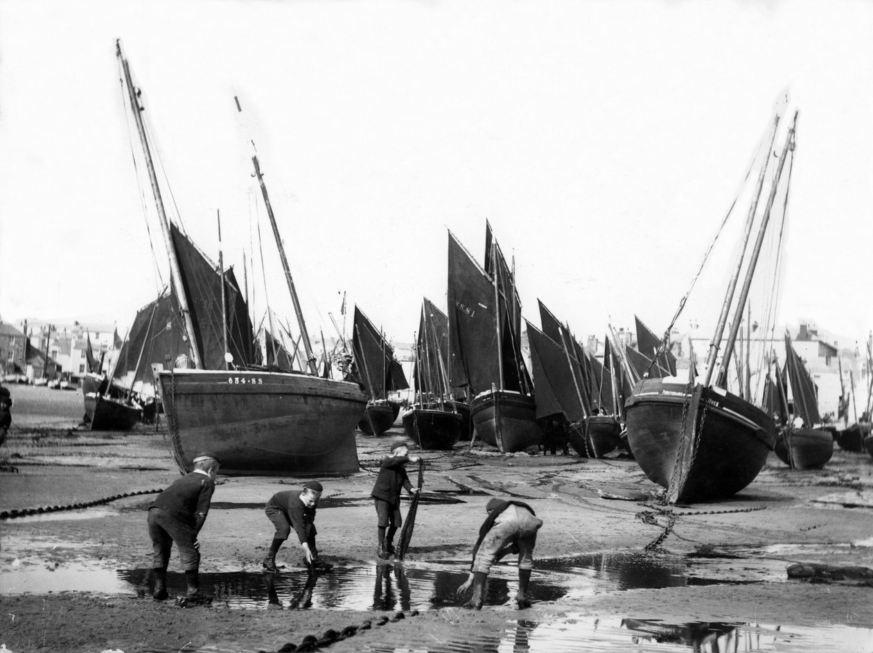 A halászflotta St Ives kikötőjében, 1880-99 körül alkotó: English Photographer