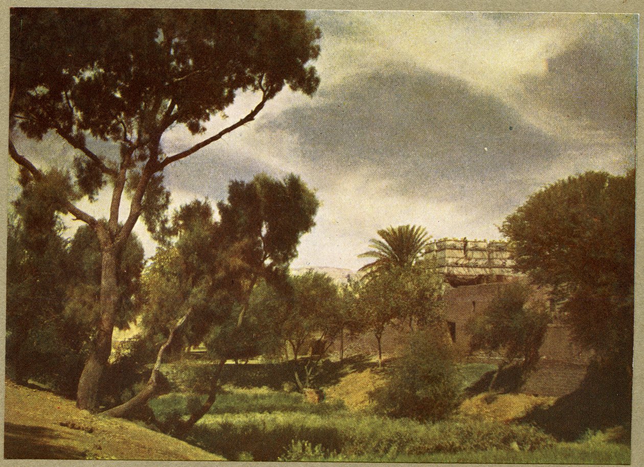 Egy falu széle Luxor közelében, Egyiptomban. alkotó: English Photographer