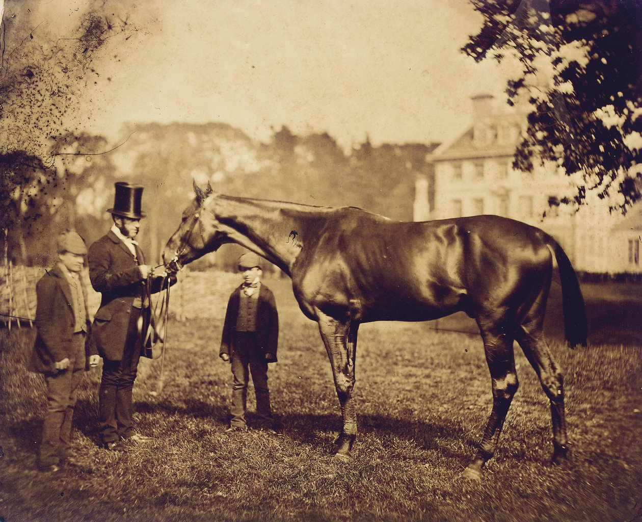 Vad Dayrell, a Derby győztese 1856-ban alkotó: English Photographer