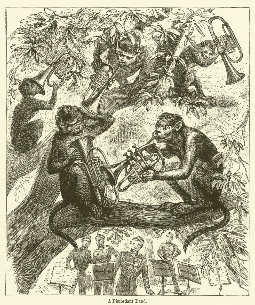 A Discordant Band (metszet) alkotó: English School