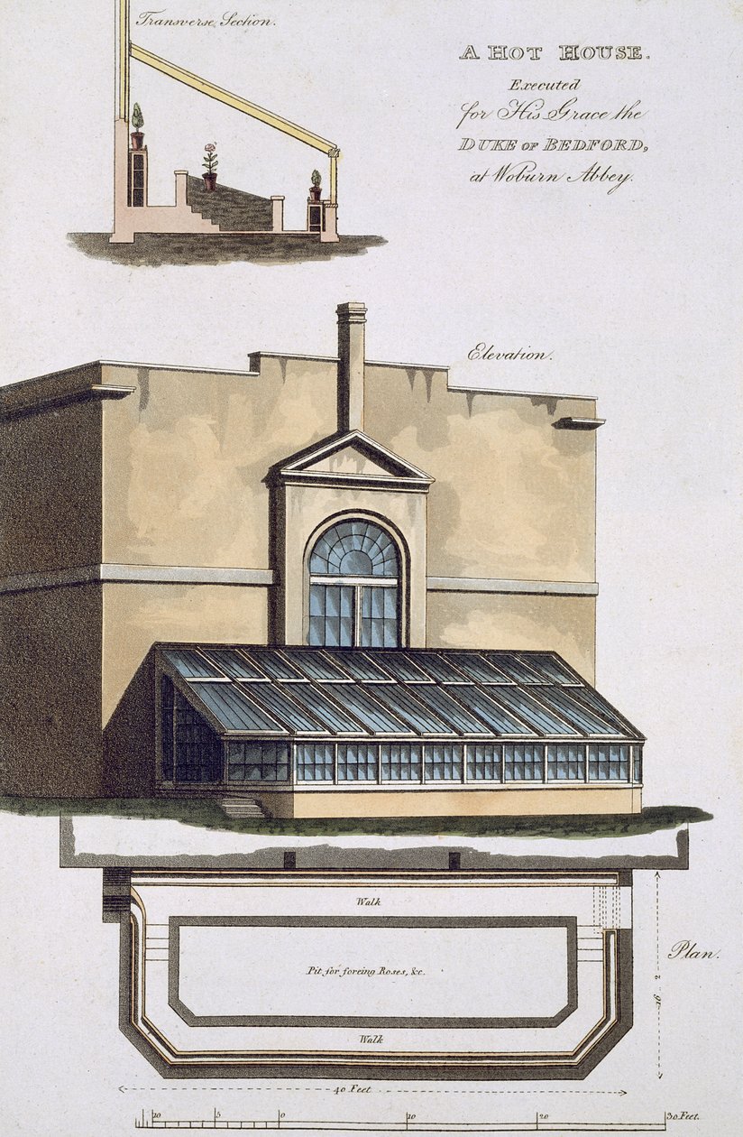 Egy Hot House-t végeztek ki kegyeiért, Bedford hercegéért a Woburn Abbey-ben, 1806 alkotó: English School