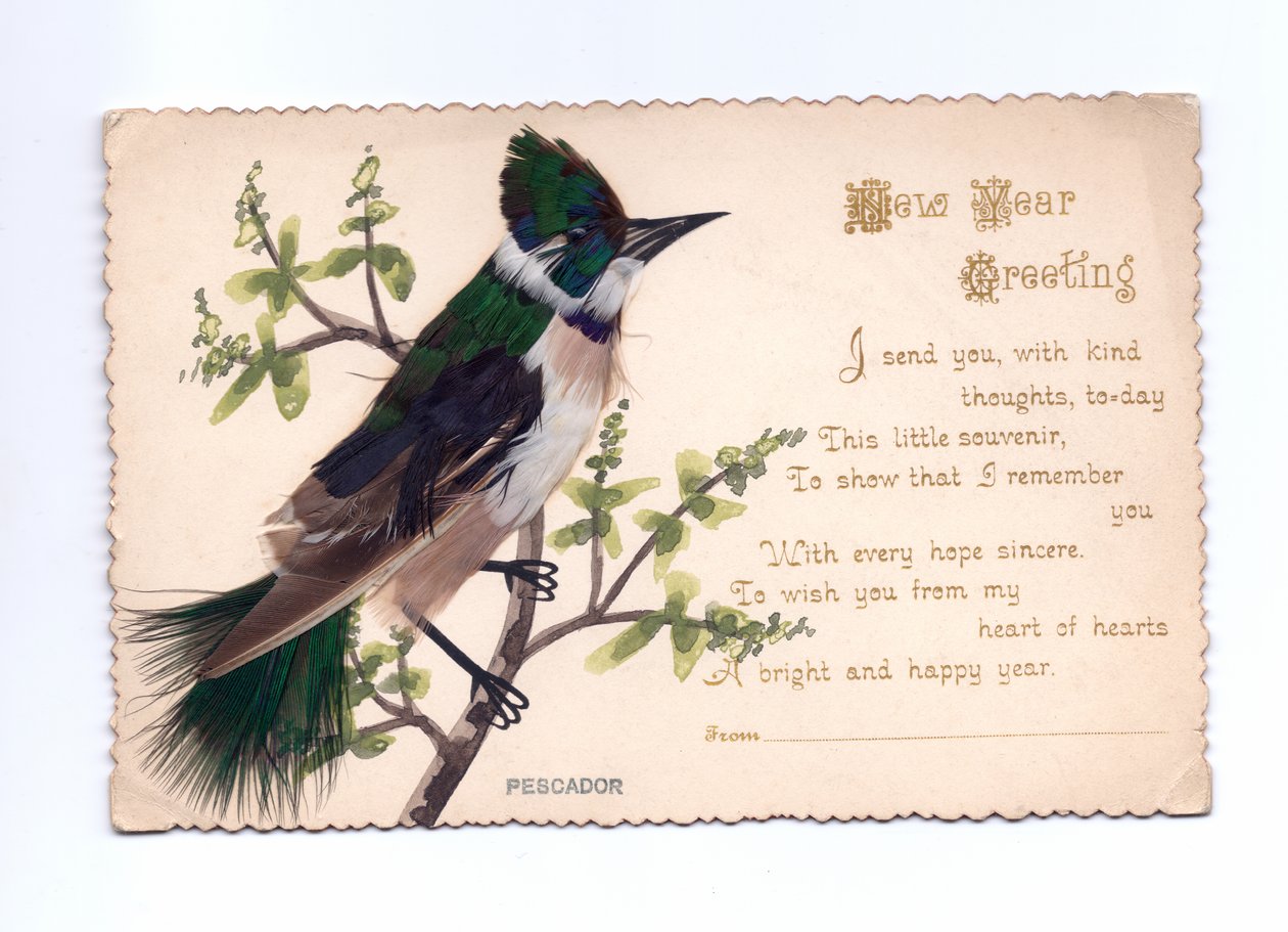 Újévi üdvözlőlap egy jégmadárról, tollakból, kézzel festett fára szerelve, 1900 körül alkotó: English School