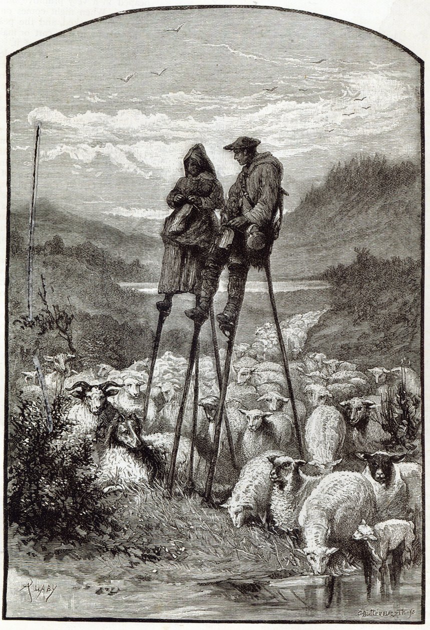 Pásztorélet Landes-ban, a "Szabadidő órája" című filmből, 1891 alkotó: English School