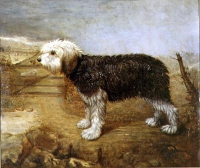 A Sheepdog, Fields Beyond alkotó: English School