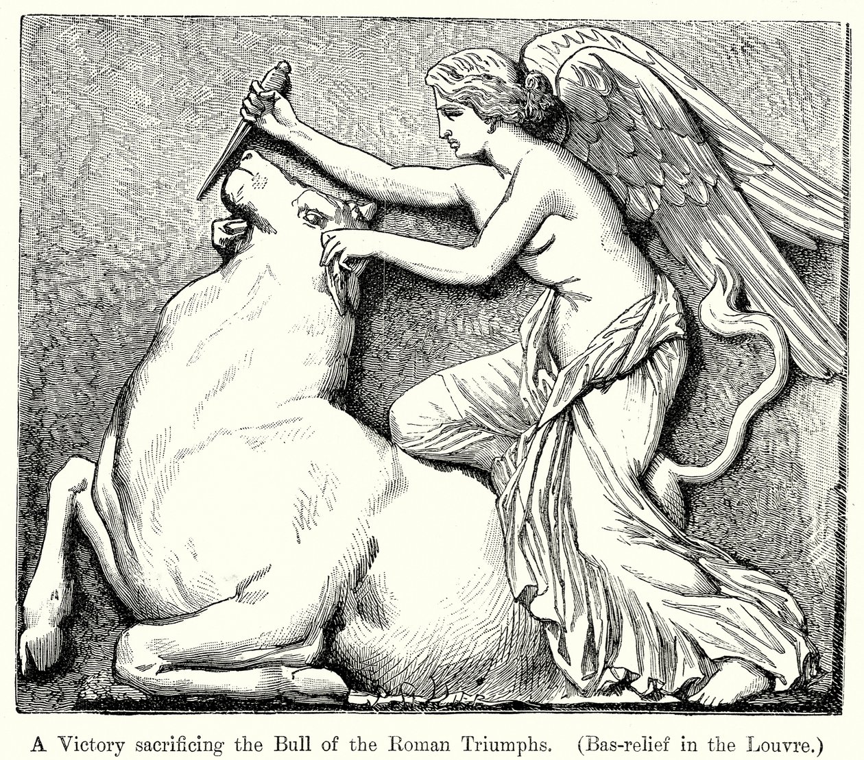 A római diadalok bikáját feláldozó Győzelem. (Bas-Relief a Louvre-ban) (metszet) alkotó: English School