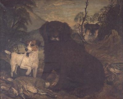 Egy vízispániel és két Jack Russell a napi táskánál alkotó: English School
