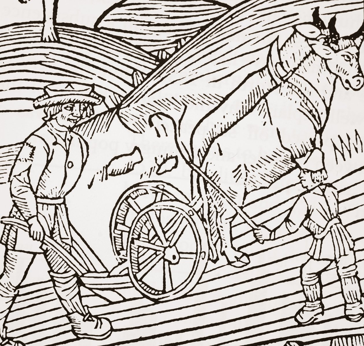 Ekéhez kötött ökörpár, John Fitzherberts Boke of Husbandry címlapja, első kocsma. 1523 alkotó: English School