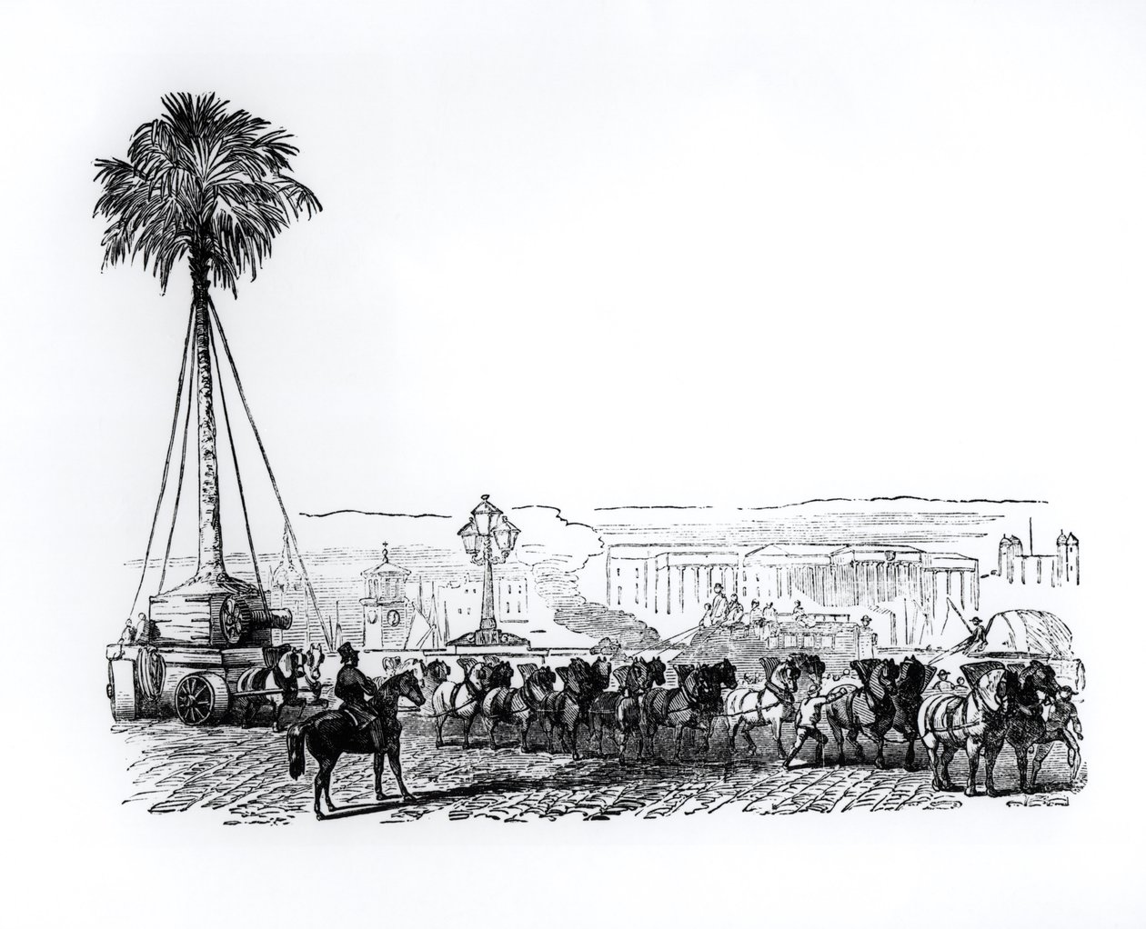 Egy pálmafát a Hyde Parkba szállítanak az 1851-es londoni nagy kiállításra alkotó: English School