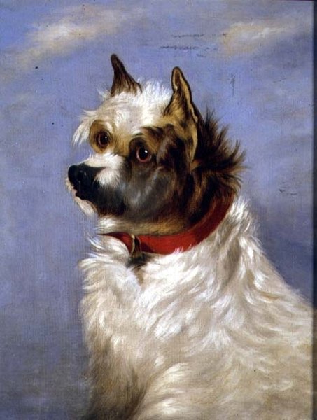 Vörös galléros terrier alkotó: English School