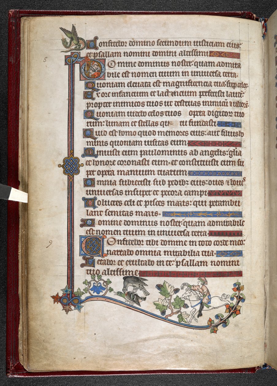Add hozzá MS 24686, f.14v, Póni fiú sólyomvadász kacsával, c.1284-1316 (vellum) alkotó: English School