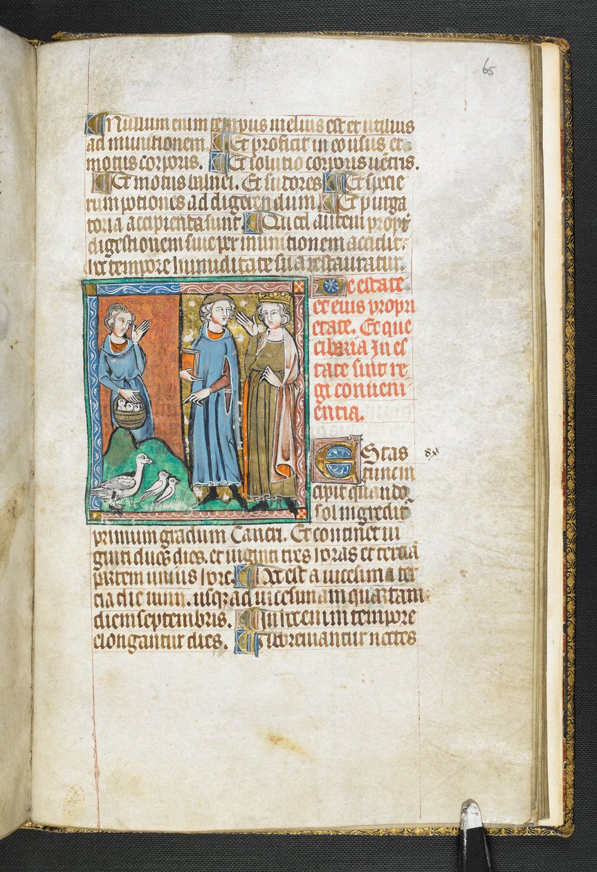 Adja hozzá az MS 47680, f.65r Arisztotelész a királyhoz hozott madarakra mutat, Secretum Secretorum, c.1326-27 (vellum) alkotó: English School